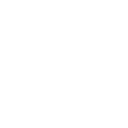 Language